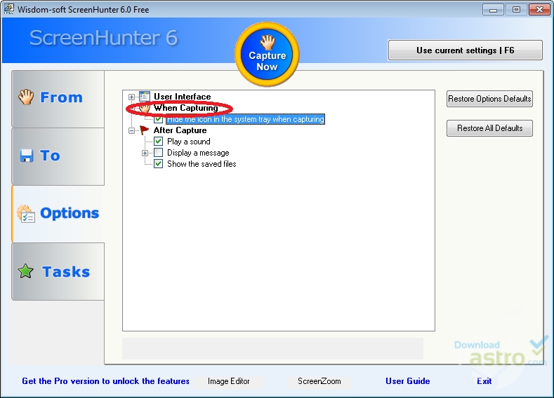 Download Screenhunter 5.1 Free